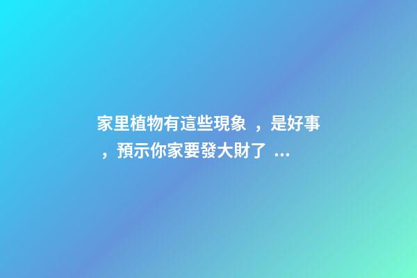 家里植物有這些現象，是好事，預示你家要發大財了！